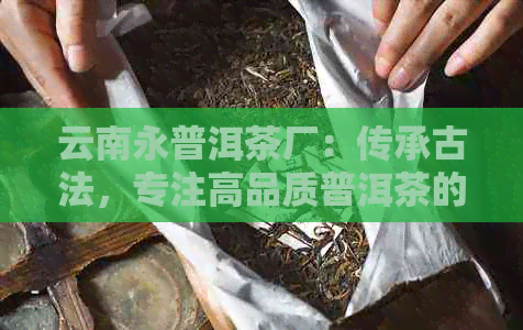 云南永普洱茶厂：传承古法，专注高品质普洱茶的生产与研发