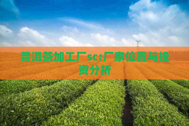 普洱茶加工厂sc:厂家位置与投资分析