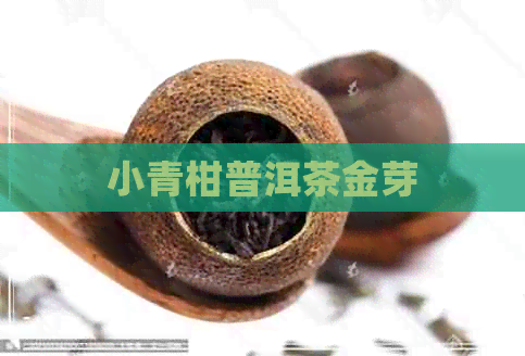 小青柑普洱茶金芽