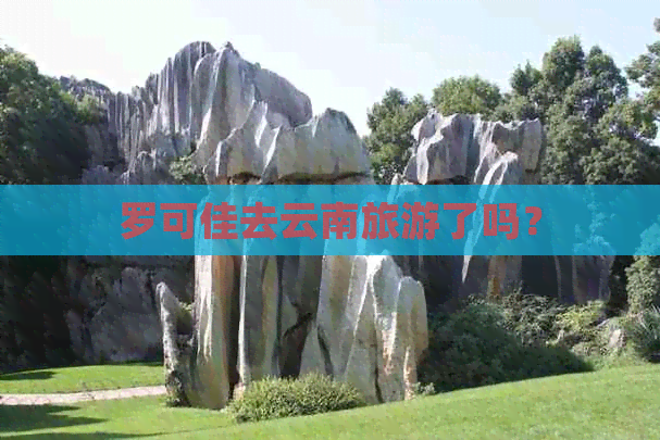 罗可佳去云南旅游了吗？