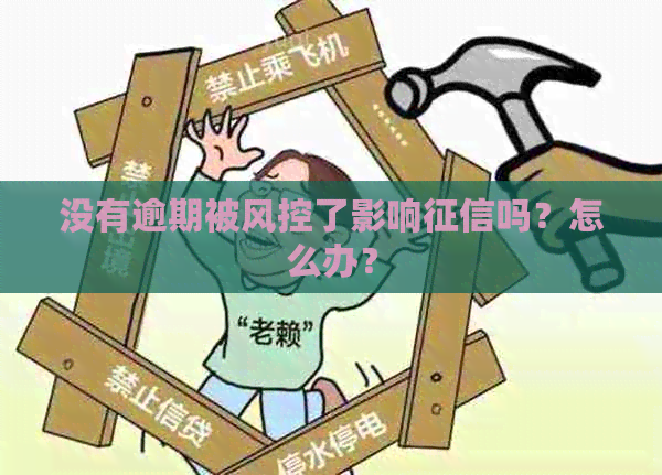 没有逾期被风控了影响吗？怎么办？