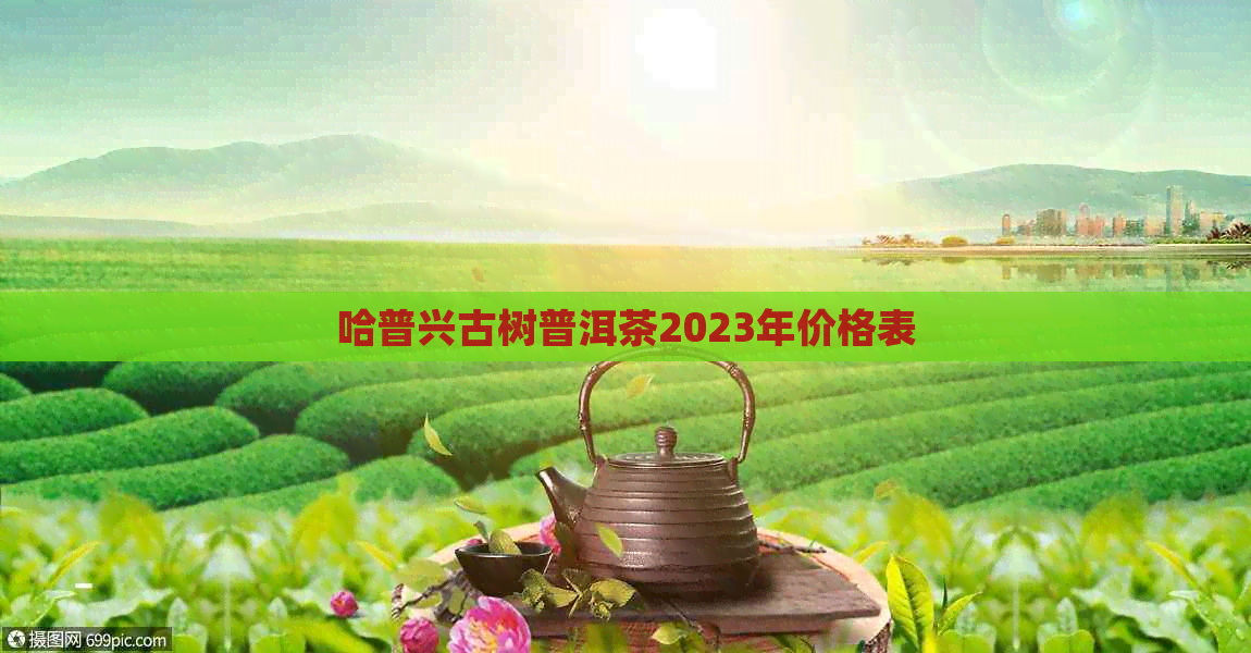 哈普兴古树普洱茶2023年价格表