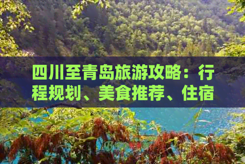 四川至青岛旅游攻略：行程规划、美食推荐、住宿指南及必备旅游信息