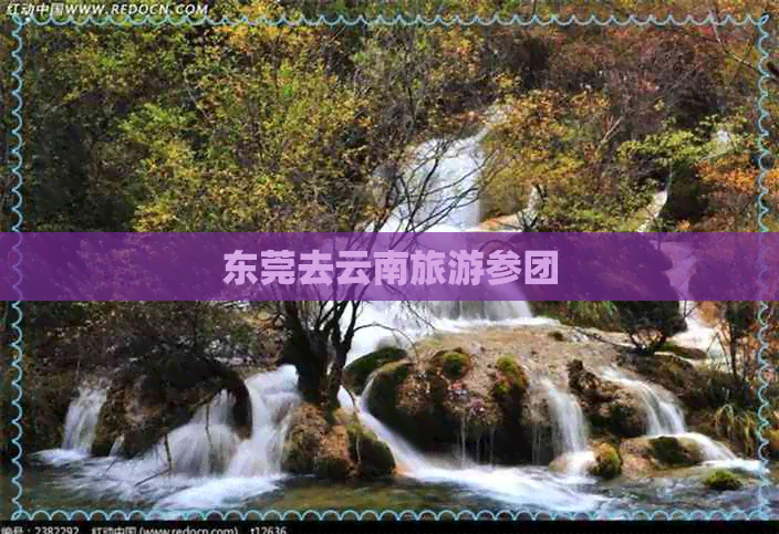 东莞去云南旅游参团