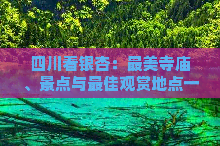 四川看银杏：最美寺庙、景点与更佳观赏地点一览