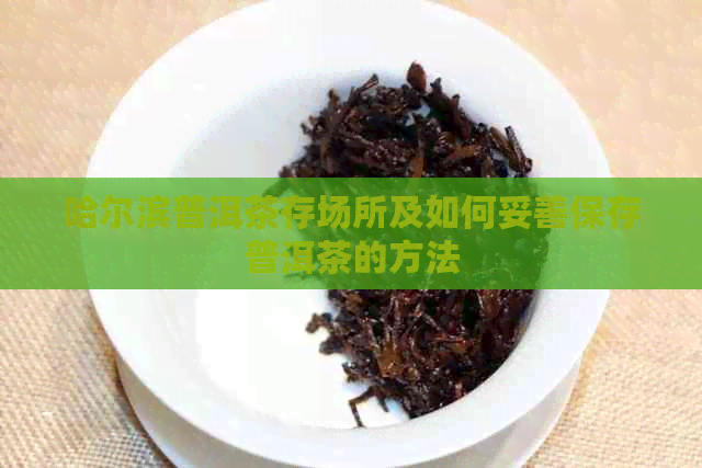 哈尔滨普洱茶存场所及如何妥善保存普洱茶的方法