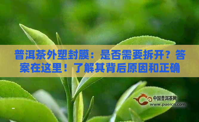 普洱茶外塑封膜：是否需要拆开？答案在这里！了解其背后原因和正确使用方法