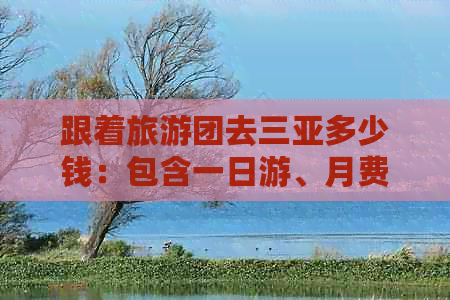 跟着旅游团去三亚多少钱：包含一日游、月费用及跟团旅游花费详解