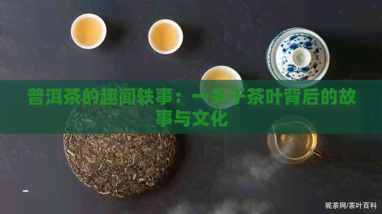 普洱茶的趣闻轶事：一关于茶叶背后的故事与文化