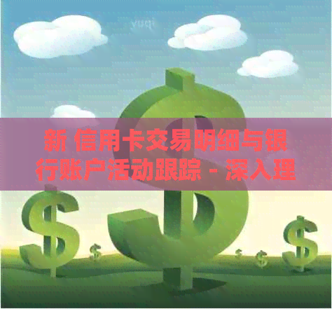 新 信用卡交易明细与银行账户活动跟踪 - 深入理解您的财务状况