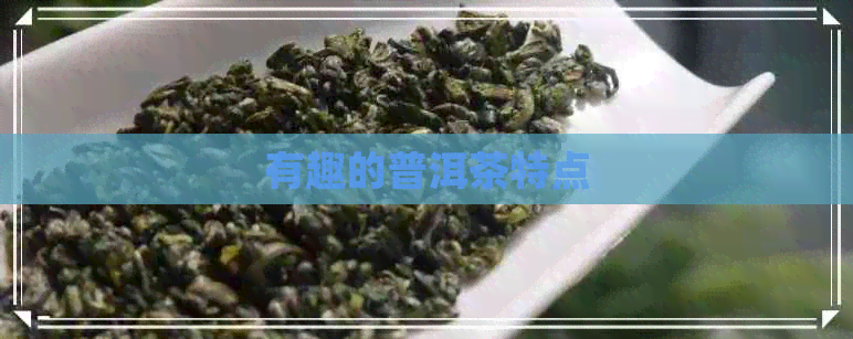 有趣的普洱茶特点