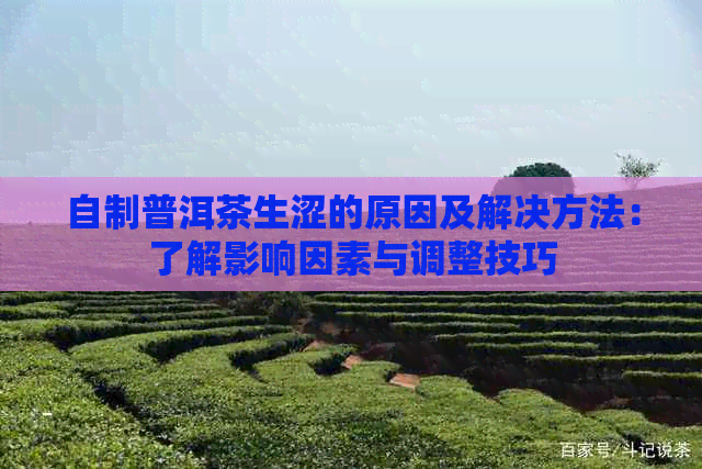 自制普洱茶生涩的原因及解决方法：了解影响因素与调整技巧