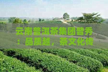 云南普洱茶集团普秀：品质越，茶文化传承与创新的领导者