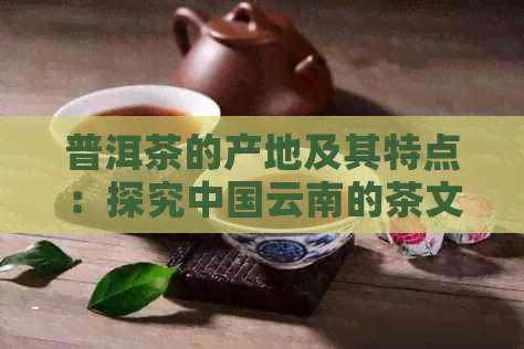 普洱茶的产地及其特点：探究中国云南的茶文化魅力