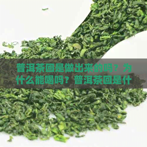 普洱茶回是做出来的吗？为什么能喝吗？普洱茶回是什么意思？