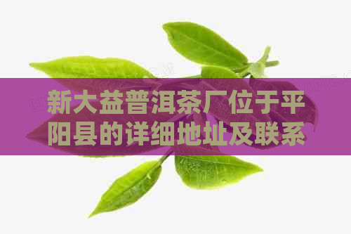 新大益普洱茶厂位于平阳县的详细地址及联系方式一览