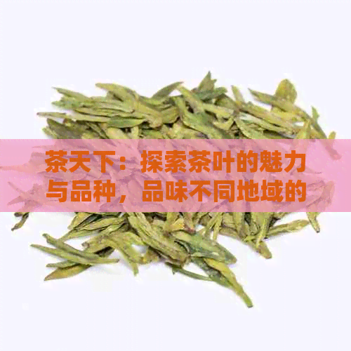 茶天下：探索茶叶的魅力与品种，品味不同地域的独特风味