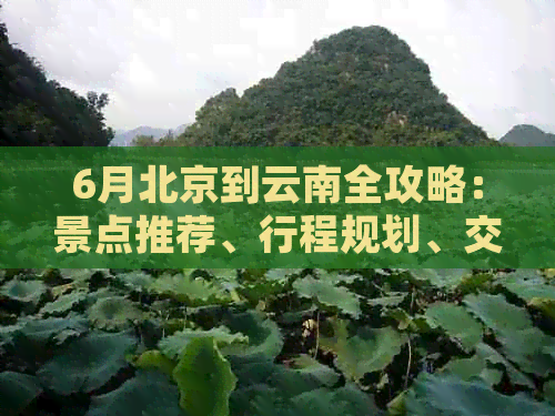 6月北京到云南全攻略：景点推荐、行程规划、交通方式及住宿实用信息大     