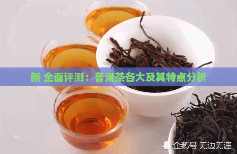 新 全面评测：普洱茶各大及其特点分析