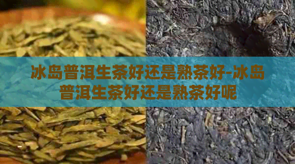 冰岛普洱生茶好还是熟茶好-冰岛普洱生茶好还是熟茶好呢