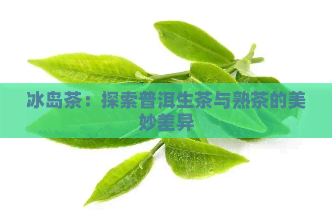 冰岛茶：探索普洱生茶与熟茶的美妙差异