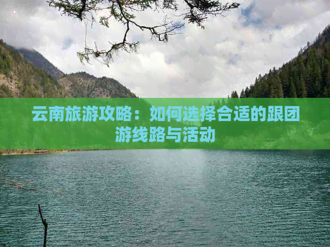 云南旅游攻略：如何选择合适的跟团游线路与活动