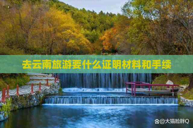 去云南旅游要什么证明材料和手续