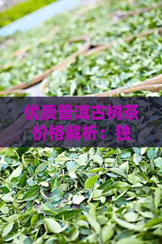 优质普洱古树茶价格解析：独特风味与收藏价值并重的投资品