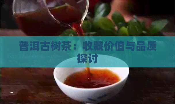 普洱古树茶：收藏价值与品质探讨