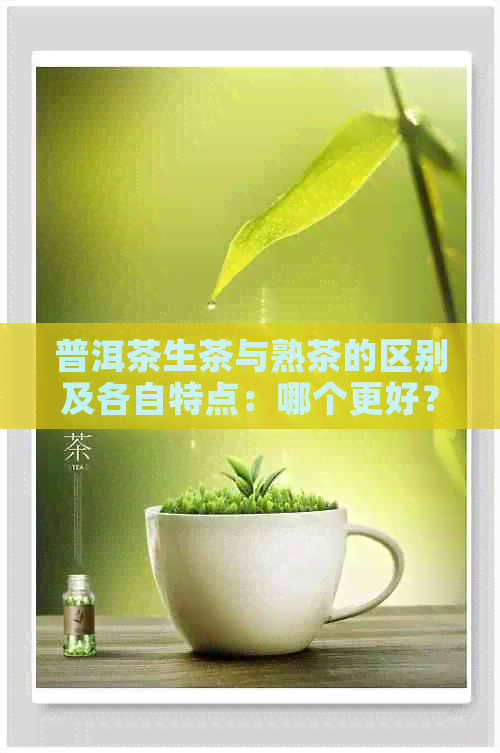 普洱茶生茶与熟茶的区别及各自特点：哪个更好？