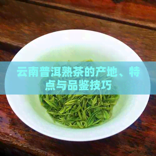 云南普洱熟茶的产地、特点与品鉴技巧