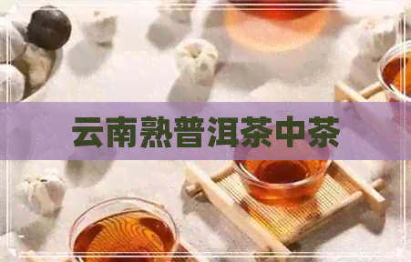 云南熟普洱茶中茶