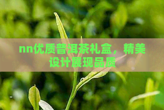 nn优质普洱茶礼盒，精美设计展现品质