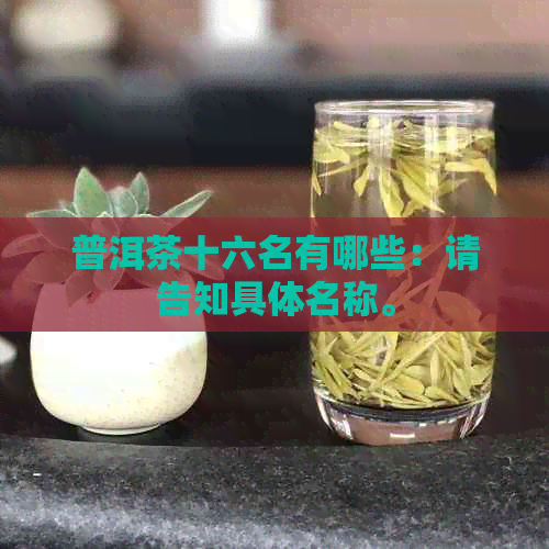 普洱茶十六名有哪些：请告知具体名称。