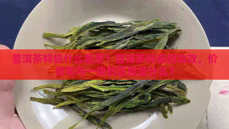 普洱茶特级什么意思？普洱茶特级的功效，价格和与一级的区别是什么？