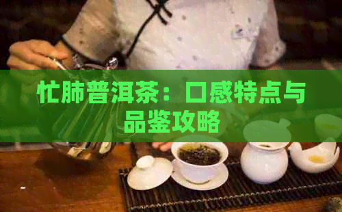 忙肺普洱茶：口感特点与品鉴攻略