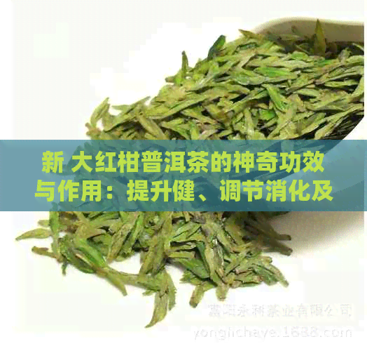 新 大红柑普洱茶的神奇功效与作用：提升健、调节消化及抗氧化