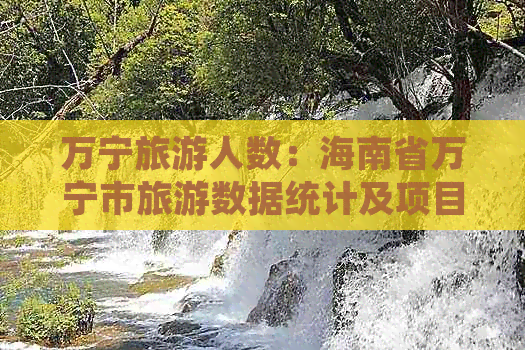 万宁旅游人数：海南省万宁市旅游数据统计及项目概览