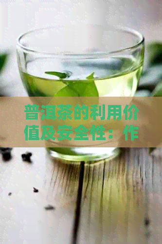 普洱茶的利用价值及安全性：作为化肥和茶叶的可行性及其对人体健的影响