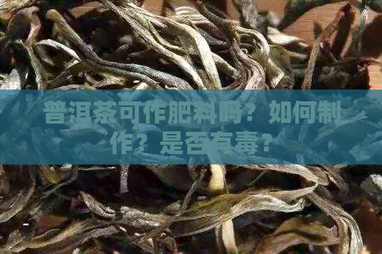 普洱茶可作肥料吗？如何制作？是否有？