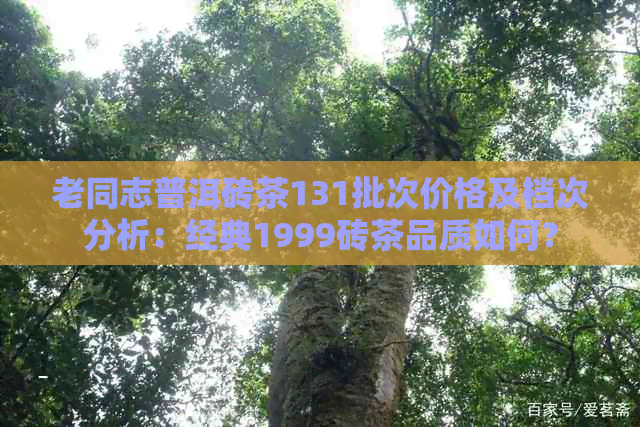 老同志普洱砖茶131批次价格及档次分析：经典1999砖茶品质如何？