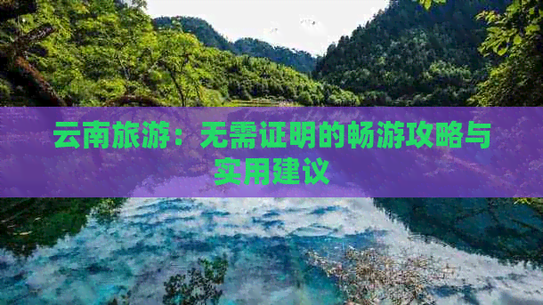 云南旅游：无需证明的畅游攻略与实用建议