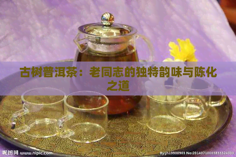 古树普洱茶：老同志的独特韵味与陈化之道