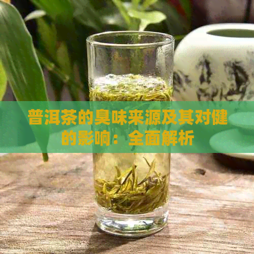 普洱茶的臭味来源及其对健的影响：全面解析