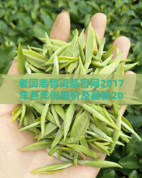 老同志普洱茶官网2017年各年份报价及最新2020年报价