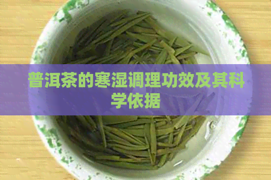 普洱茶的寒湿调理功效及其科学依据