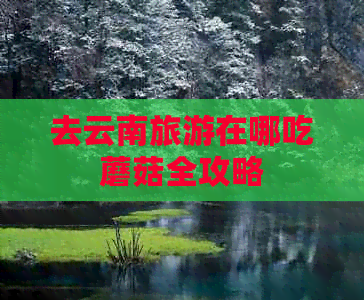 去云南旅游在哪吃蘑菇全攻略