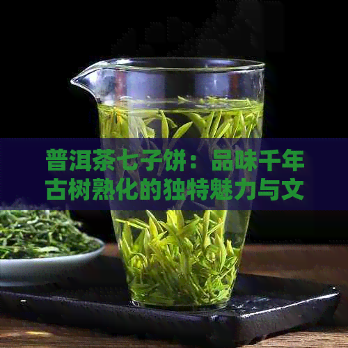 普洱茶七子饼：品味千年古树熟化的独特魅力与文化内涵