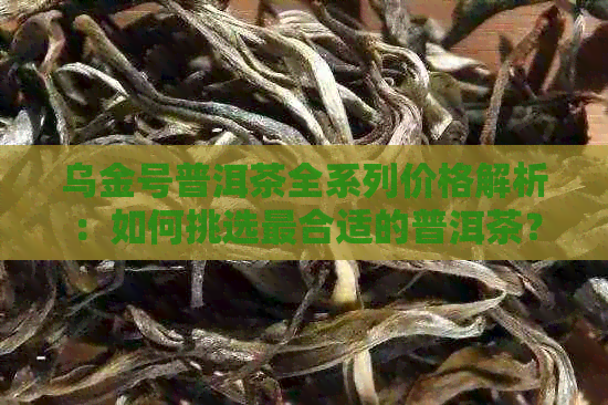 乌金号普洱茶全系列价格解析：如何挑选最合适的普洱茶？