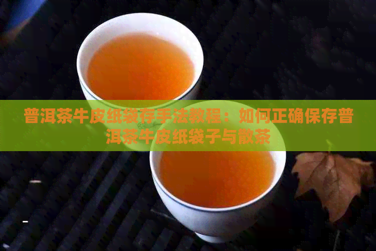 普洱茶牛皮纸袋存手法教程：如何正确保存普洱茶牛皮纸袋子与散茶